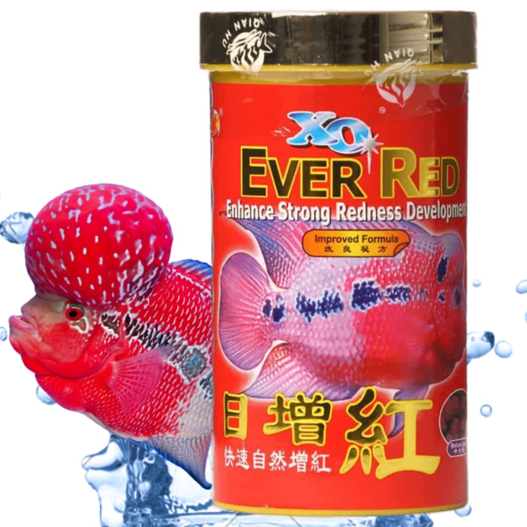 Ocean Free Xo Ever Red (Original) Fish Food, 280Ml/100G|Enhance Strong Redness Development For Flowerhorn Fish