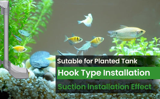 Fish Tank Feeder Best for Small Fish and Shrimp sutable for Planted Tank (Size 35 cm in Hight)