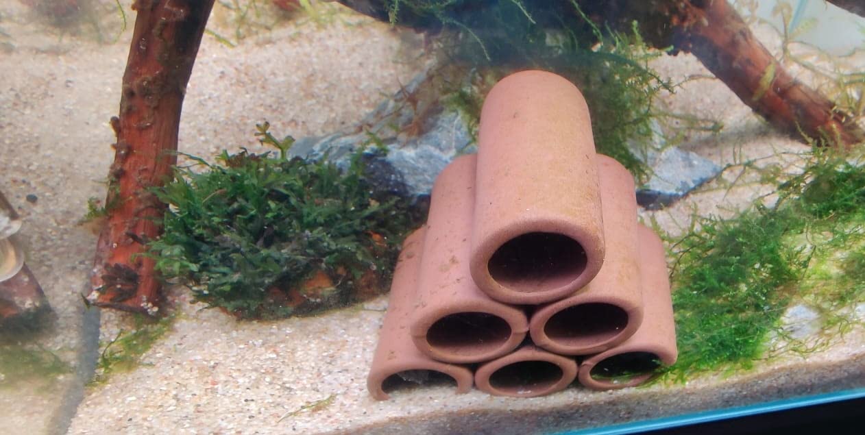 Aquarium Shrimp House Clay shelter 6 Holes Shrimp Cave