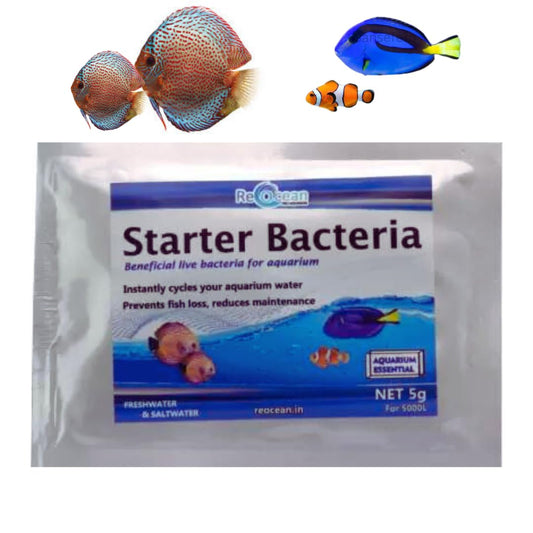Starter Bacteria Pro-Biotic Beneficial Live Bacteria for Aquarium (5Grams)