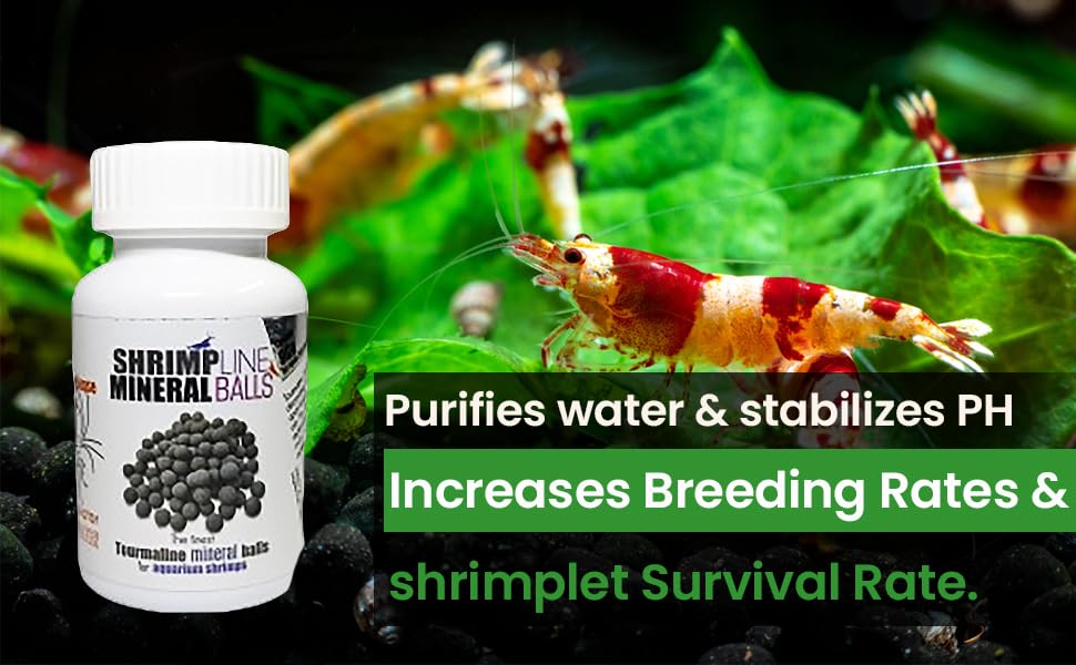 Aquatic Remedies Shrimp Line Mineral Balls For Aquarium Shrimps(90G)