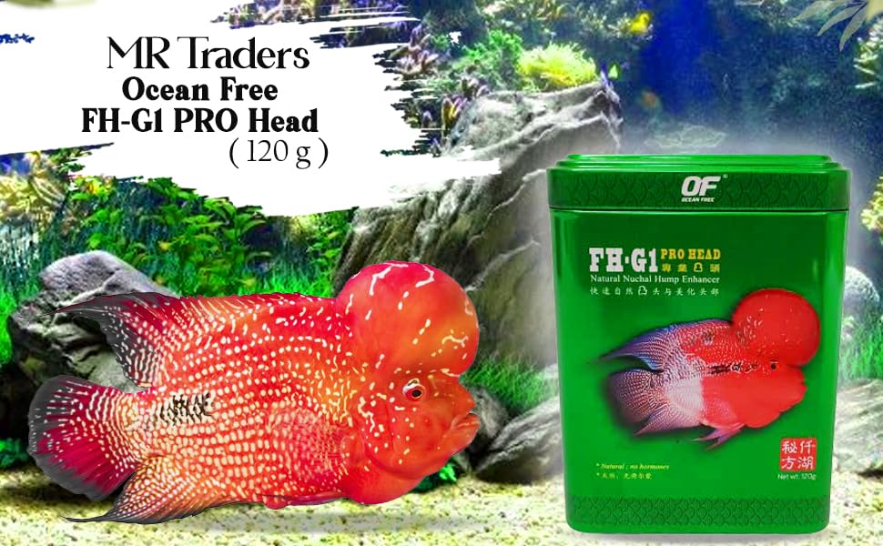 Ocean Free FH-G1 Pro Head (120 g) Aquarium Flowerhorn Fish Food