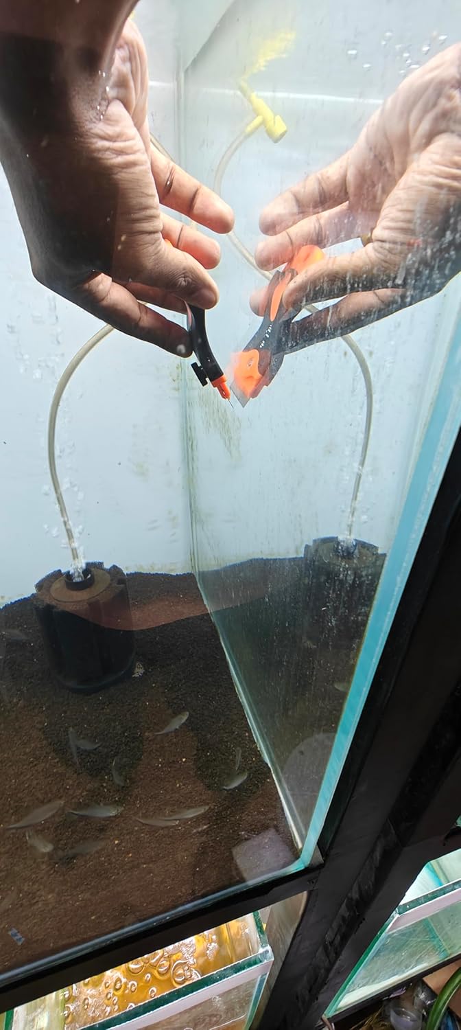 Mini Algae Scrapper for Aquarium 6 Blades Pack