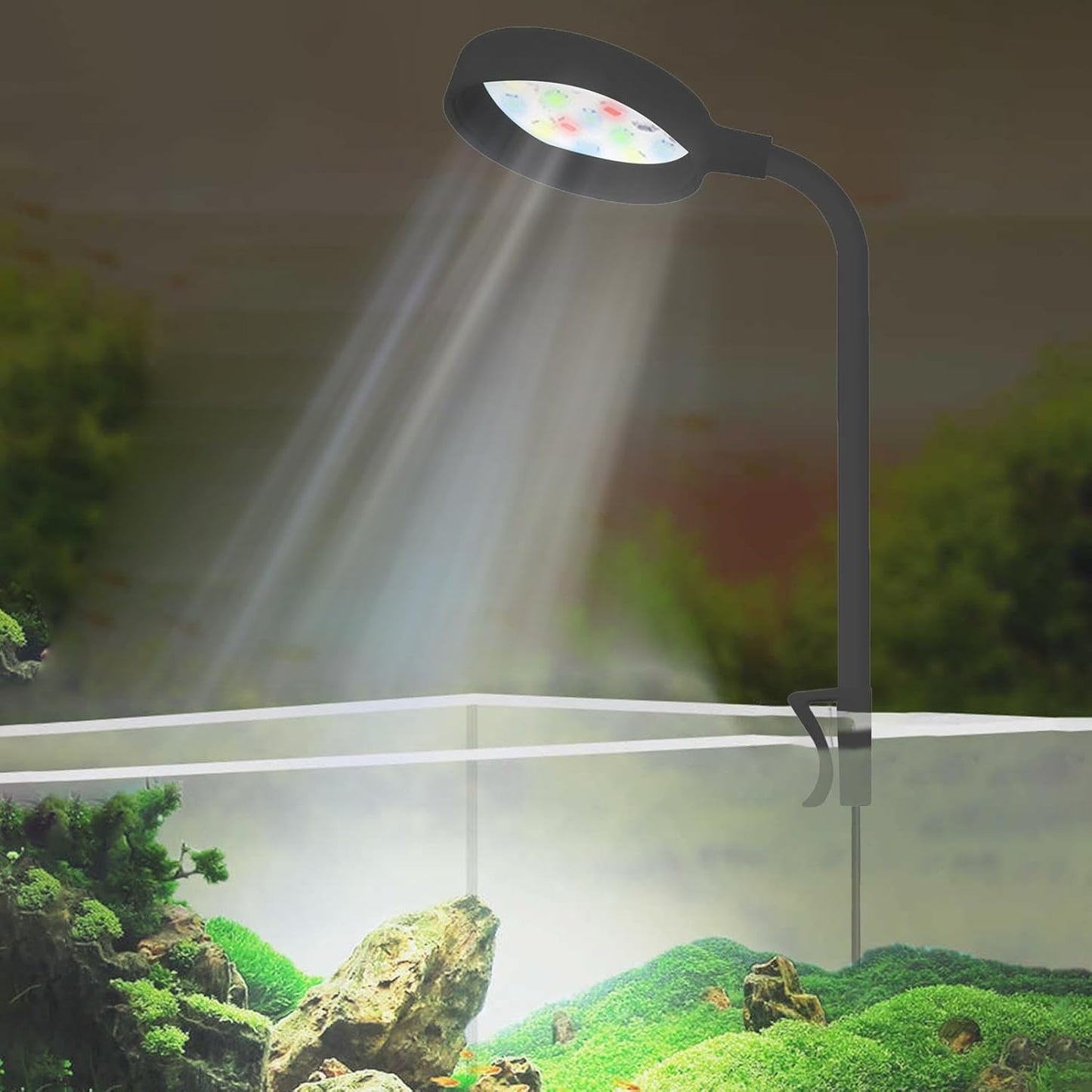 Ultra Mini Flexible Aquarium Fish Light 3Watts WRGB LED Light  Flexible Neck  360 Degree Rotatable Splash Proof Suitable Only for Bowl and Mini Tank Upto 1 Feet