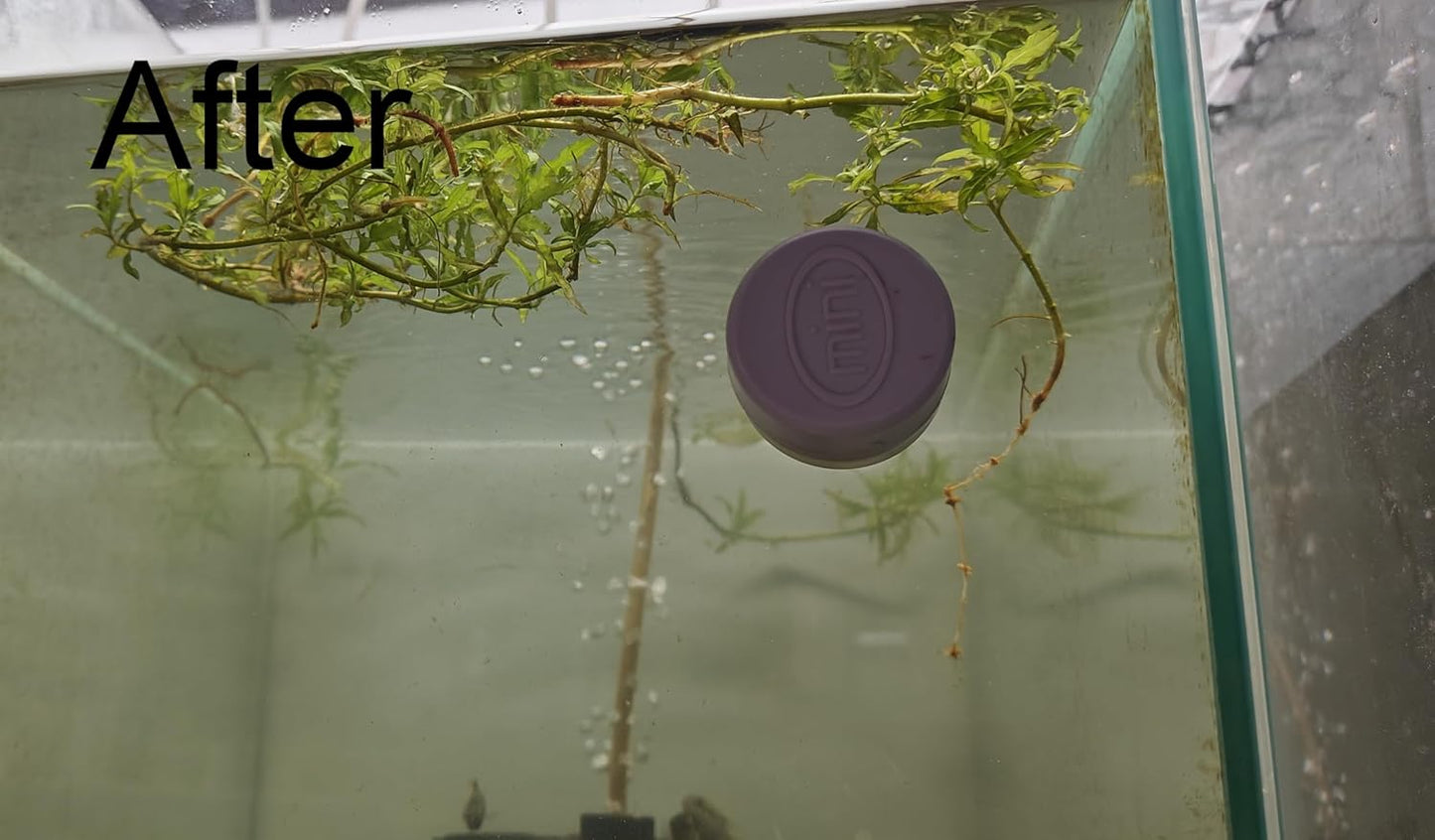 Magnetic Glass Cleaner maximum Glass Thickness 6mm (for Small Tank)