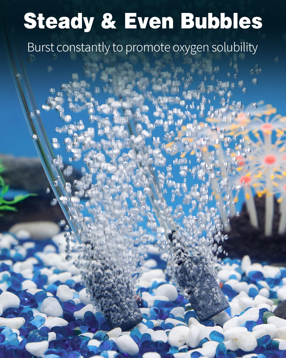 Aquarium Air stone