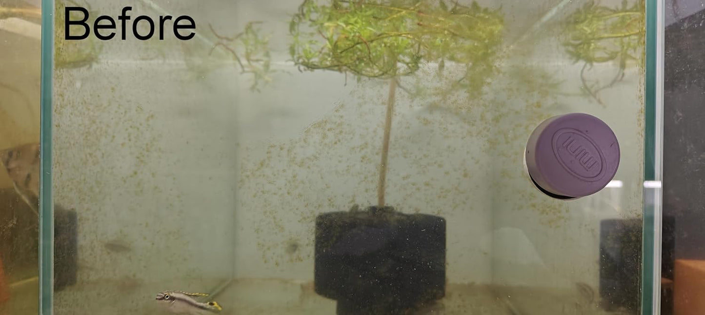 Magnetic Glass Cleaner maximum Glass Thickness 6mm (for Small Tank)