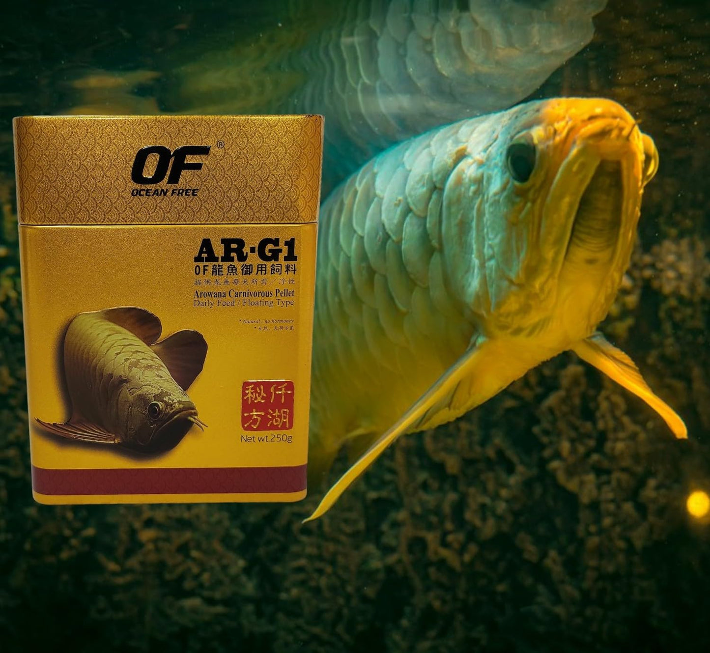 Ocean Free AR-G1 Arowana Carnivorous Pellet (250 g) Aquarium Arowana Fish Food