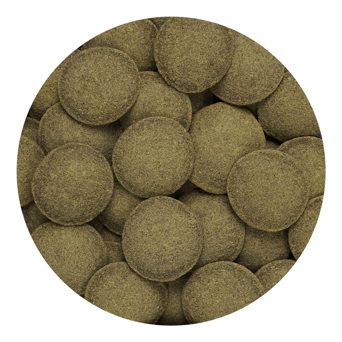 Hikari Algae Wafers