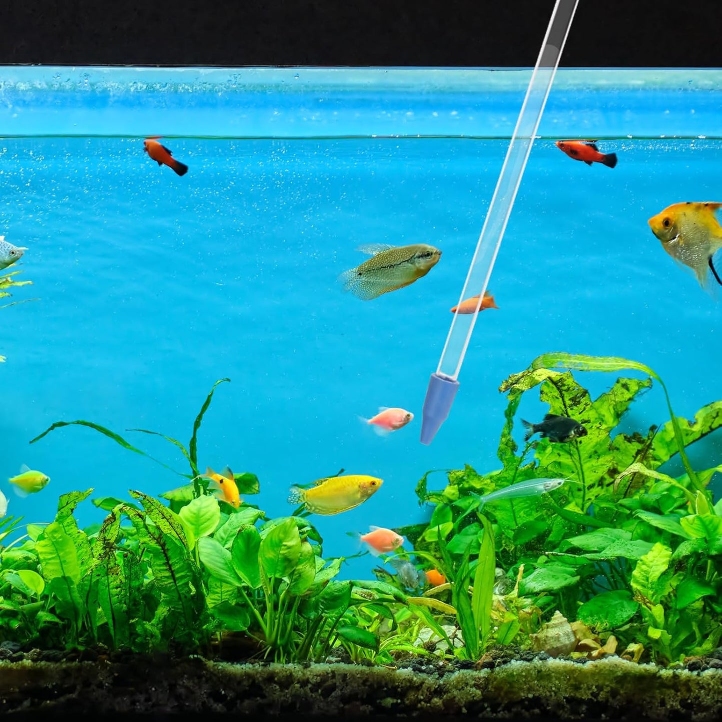 Aquarium Coral Feeder Dropper – Acrylic Long Tube Pipette for Target Feeding, Liquid Fertilizer & Waste Removal (Saltwater & Freshwater) 35cm (Copy)