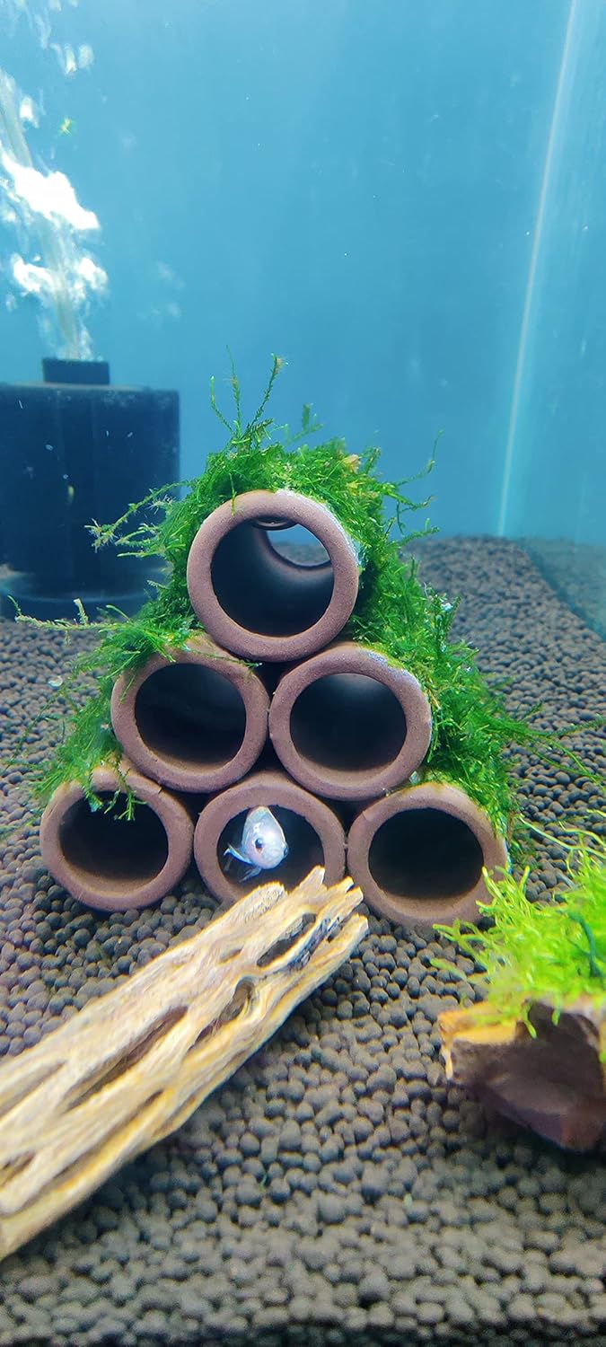 Aquarium Shrimp House Clay shelter 6 Holes Shrimp Cave
