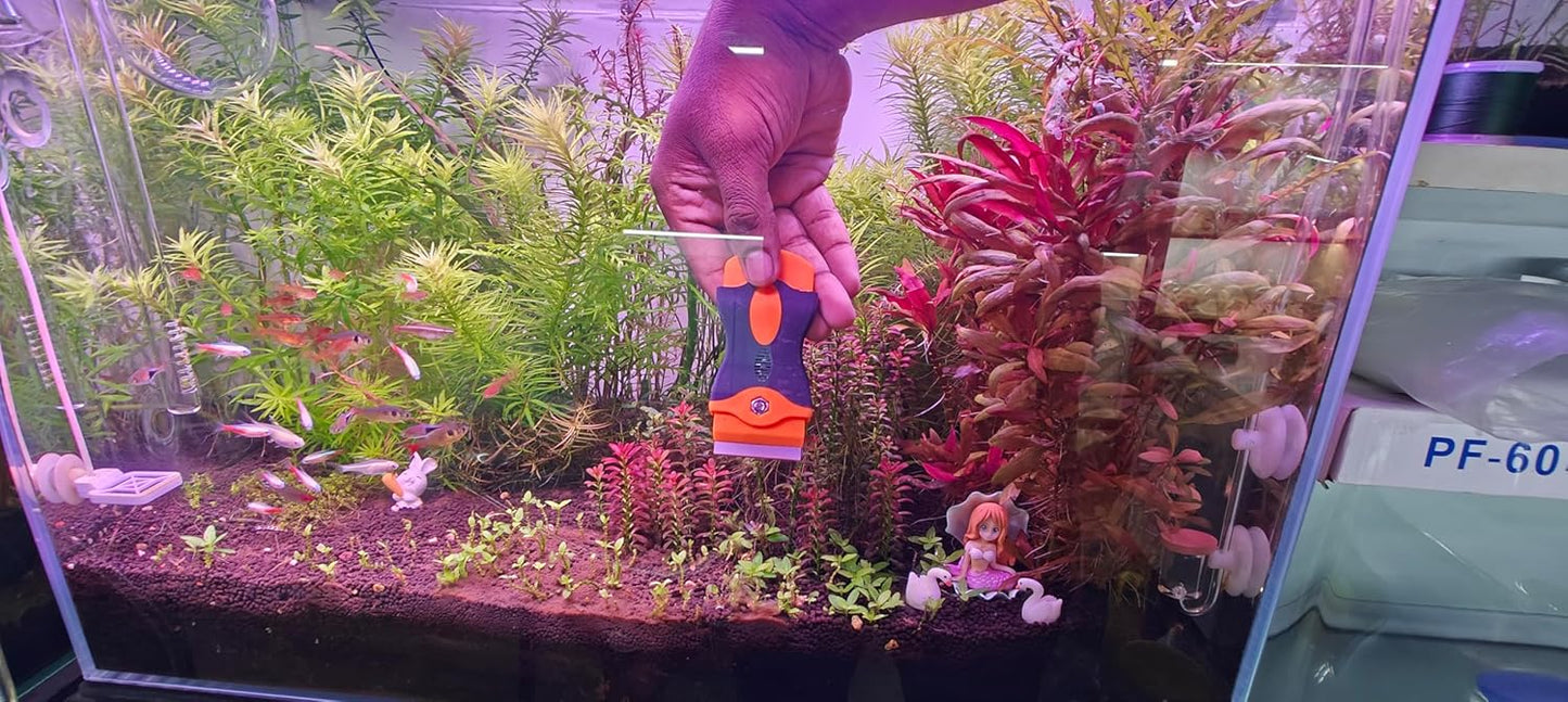 Mini Algae Scrapper for Aquarium 6 Blades Pack