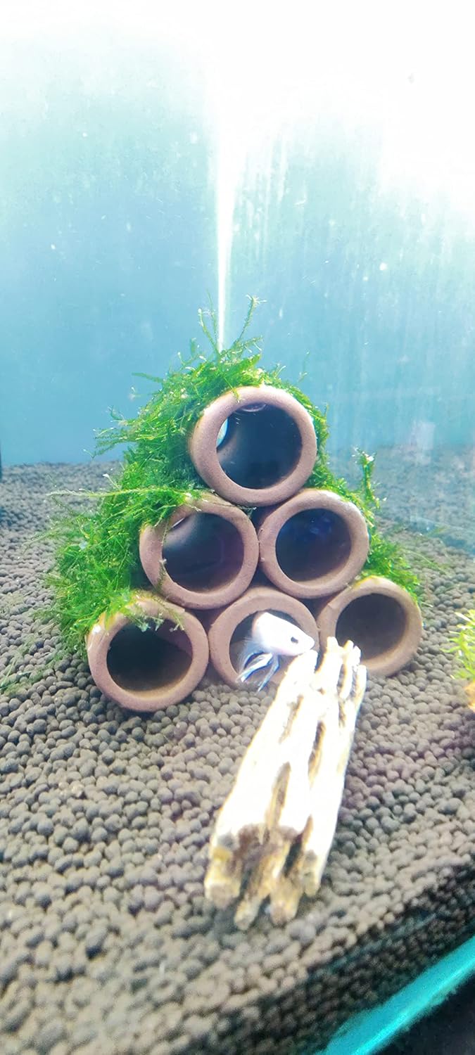 Aquarium Shrimp House Clay shelter 6 Holes Shrimp Cave