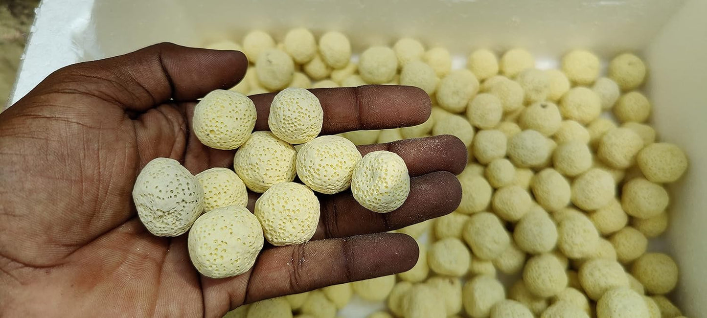 Yellow Ceramic Ball Bio Porous Filter Media Biological Aquarium Filter Bacteria Materials 250gm