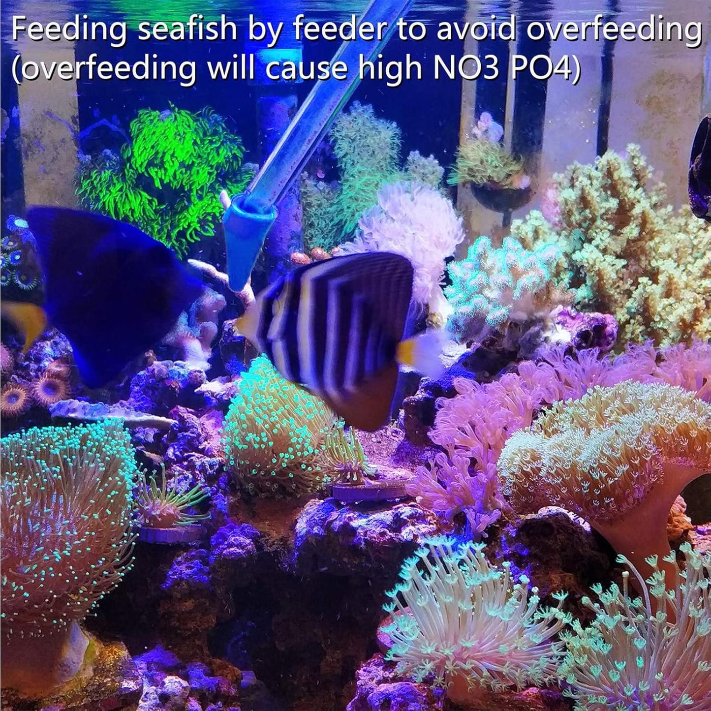 Aquarium Coral Feeder Dropper – Acrylic Long Tube Pipette for Target Feeding, Liquid Fertilizer & Waste Removal (Saltwater & Freshwater) 35cm (Copy)