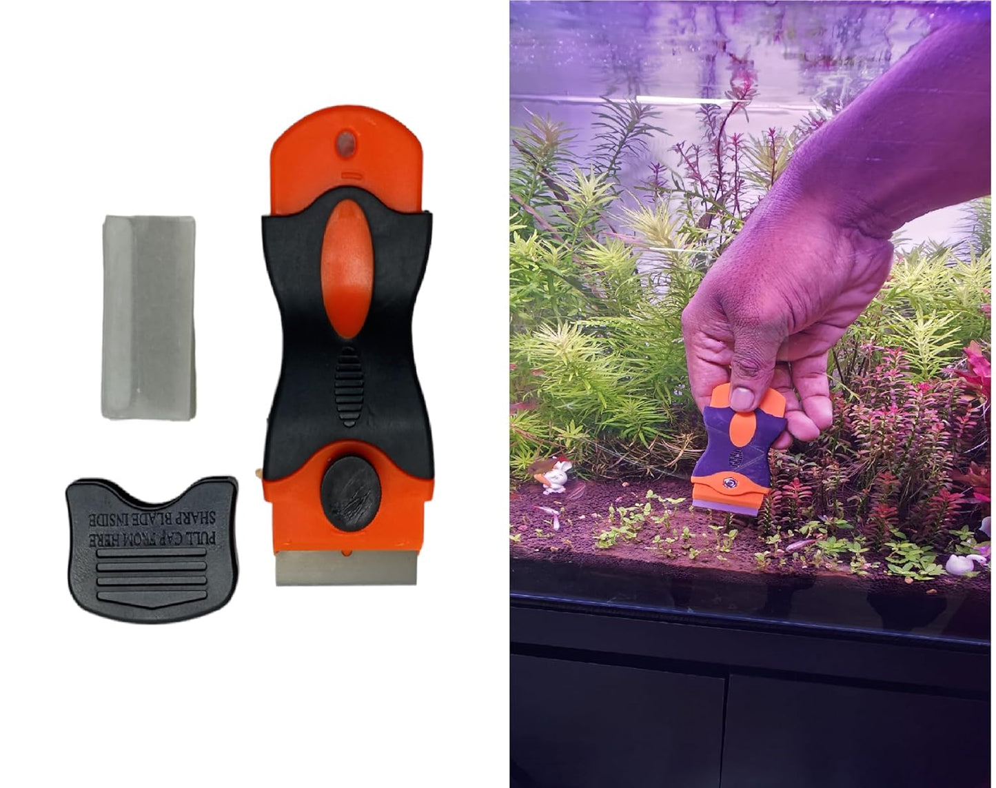 Mini Algae Scrapper for Aquarium 6 Blades Pack
