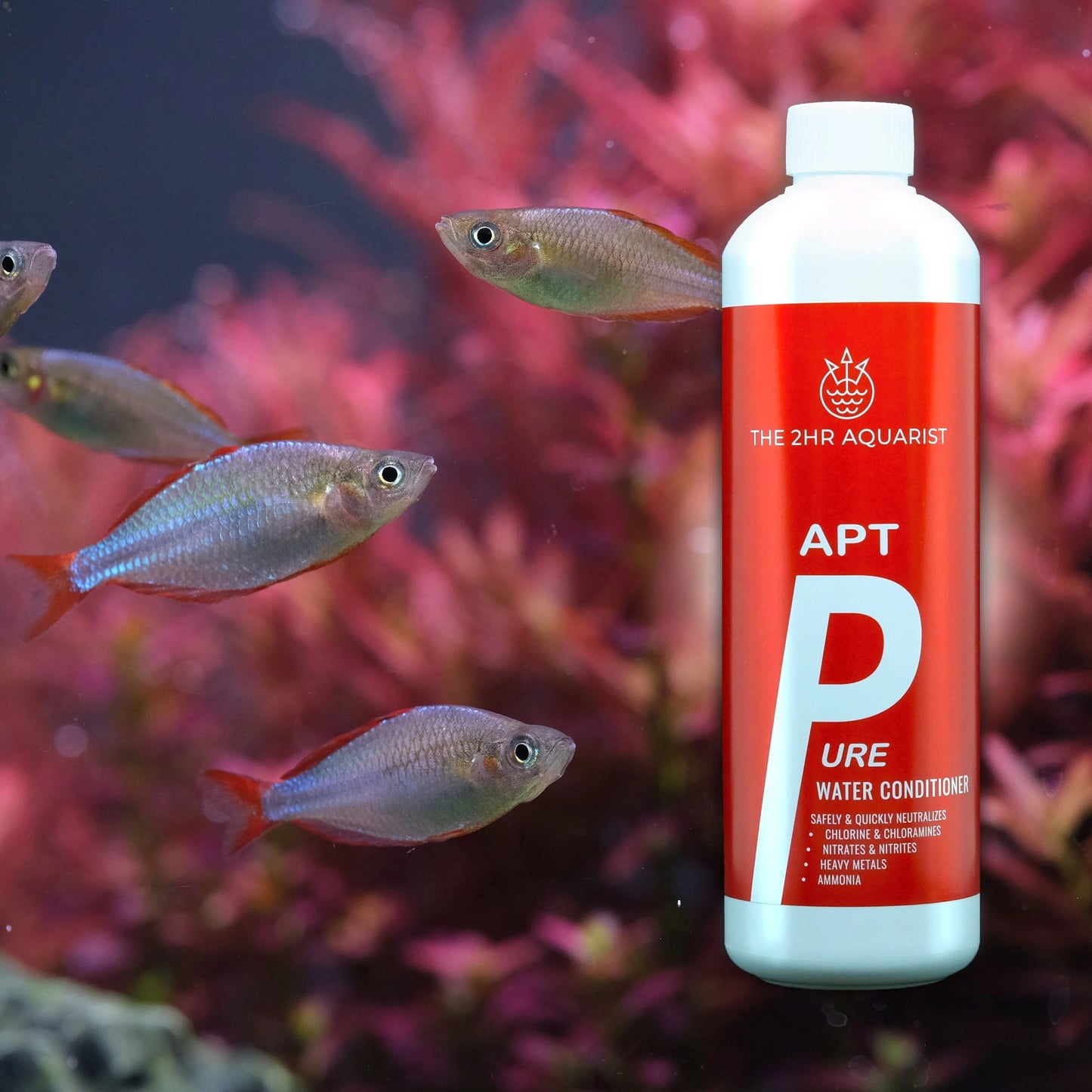 2Hr Aquarist APT Pure 250ML