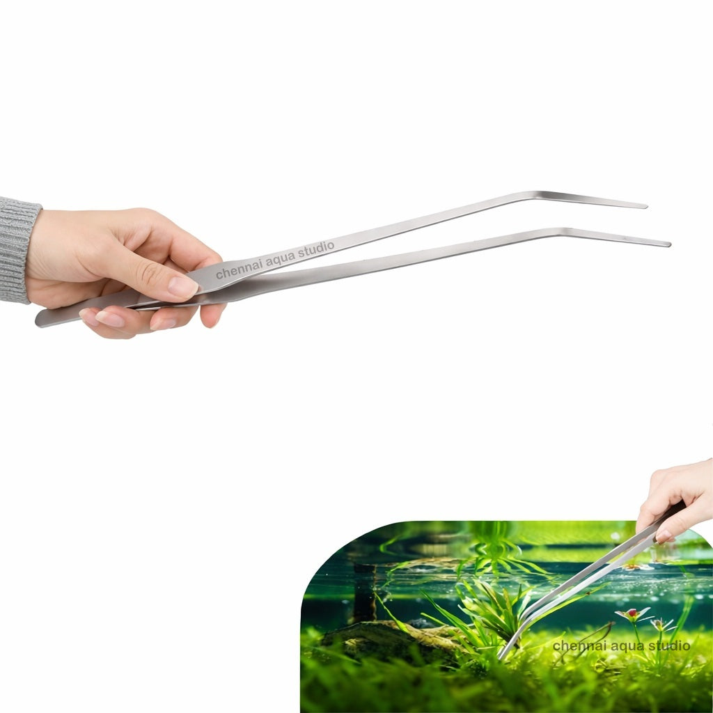 Stainless Steel Aquarium Tweezers Set (Straight & Curved) for Aquascaping, Terrarium & Reptile Feeding Size 38 CM
