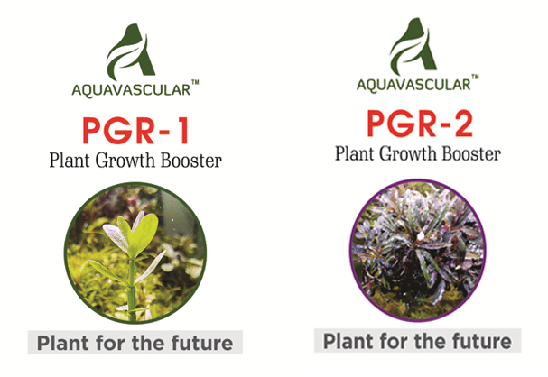AquaVascular All in One Pack 250ml