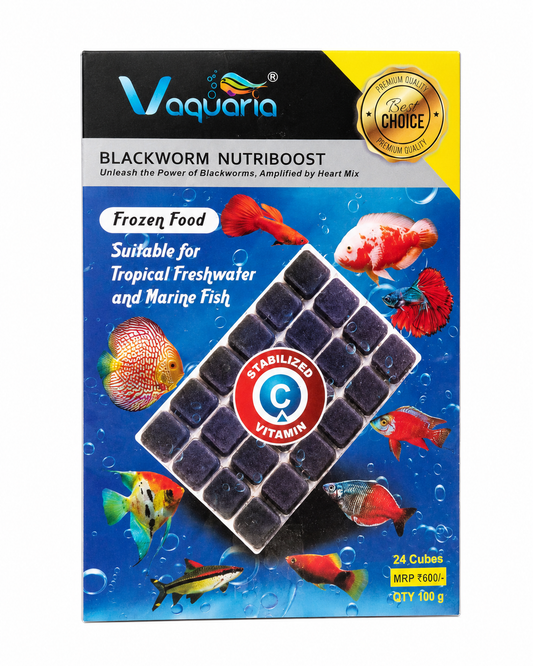 V Aquaria Blackworms Nutriboost Frozen Fish Food 100g