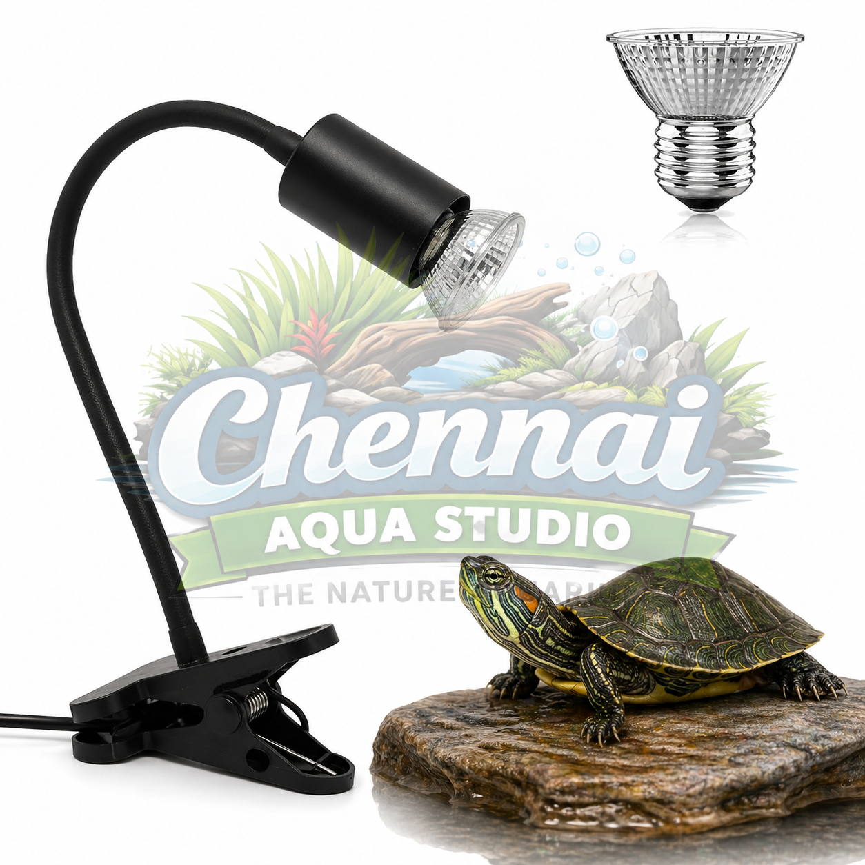 Reptile Heat Lamp with Holder & Dimmer – 50W/75W UVA UVB Turtle Basking Light for Tortoises, Lizards & Aquarium Turtle Tanks