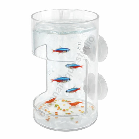 Acrylic Aquarium Fish & Shrimp Feeding Ring with Suction Cup – Clear Cylinder Food Feeder for Clean Tank Feeding