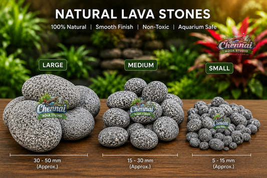 Aquarium Coarse Lava Rock for Aquascaping & Planted Tanks | Natural Decorative Stone | 5kg, 10kg, 15kg & 20kg Packs
