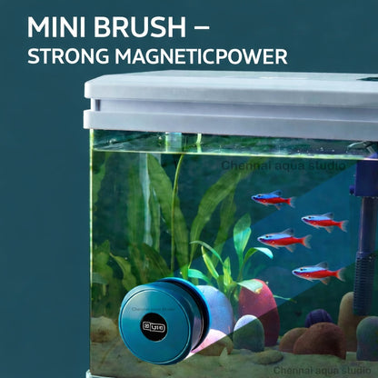Yee Mini Magnetic Aquarium Glass Cleaner for 6–10mm Tanks | Algae Scraper
