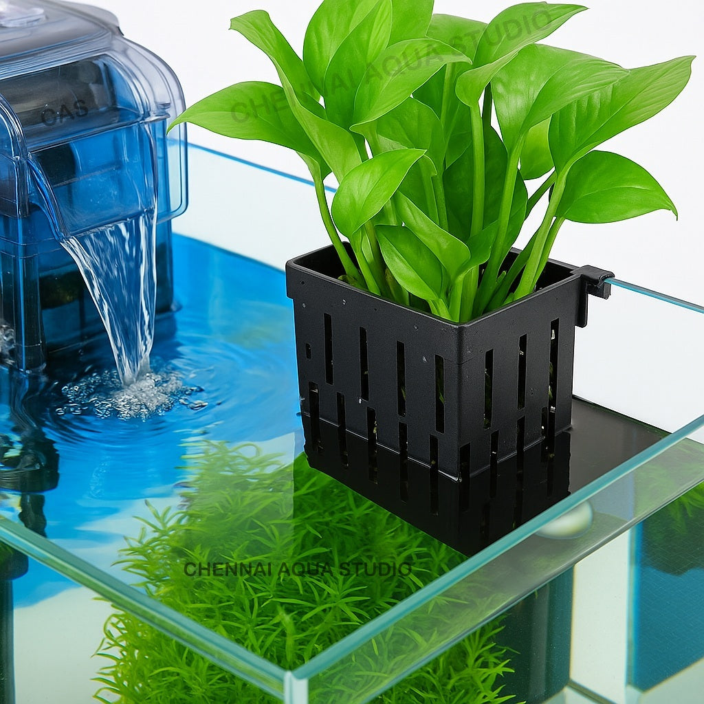 Aquarium Plant Holder with Suction Cups & Hooks – Hanging Water Plant Pot for Aquatic Plants, Durable ABS Plastic, Ideal for Pothos, Bamboo & More (Pack of 1)