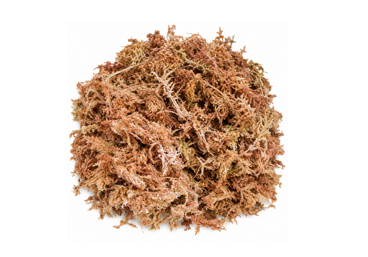 Sphagnum Moss Dried moss 1 KG