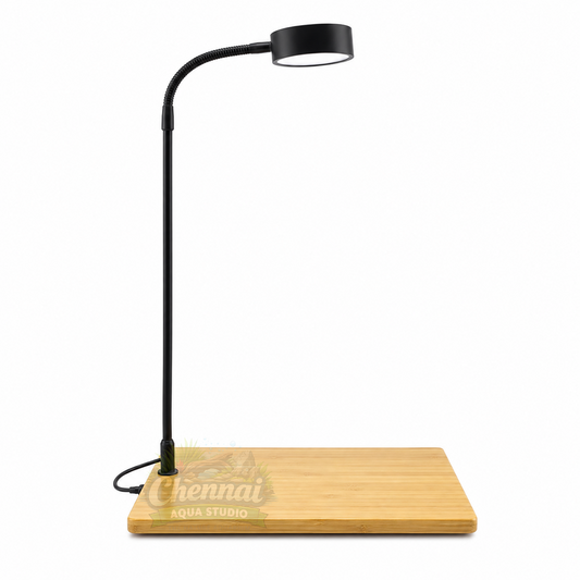 7W LED Light with Wooden Stand – 360° Adjustable Aquarium & Plant Grow Light