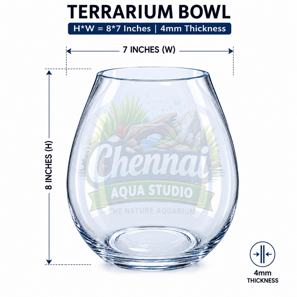 Premium Glass Terrarium Bowl – H8 x W7 Inches | 4mm Thick Clear Glass