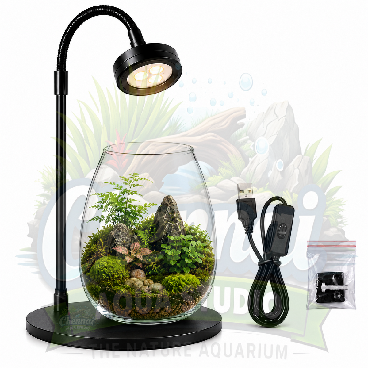 USB LED Grow Light with Base for Terrariums – Adjustable Gooseneck Plant Lamp for Moss, Mini Gardens & Indoor Plants