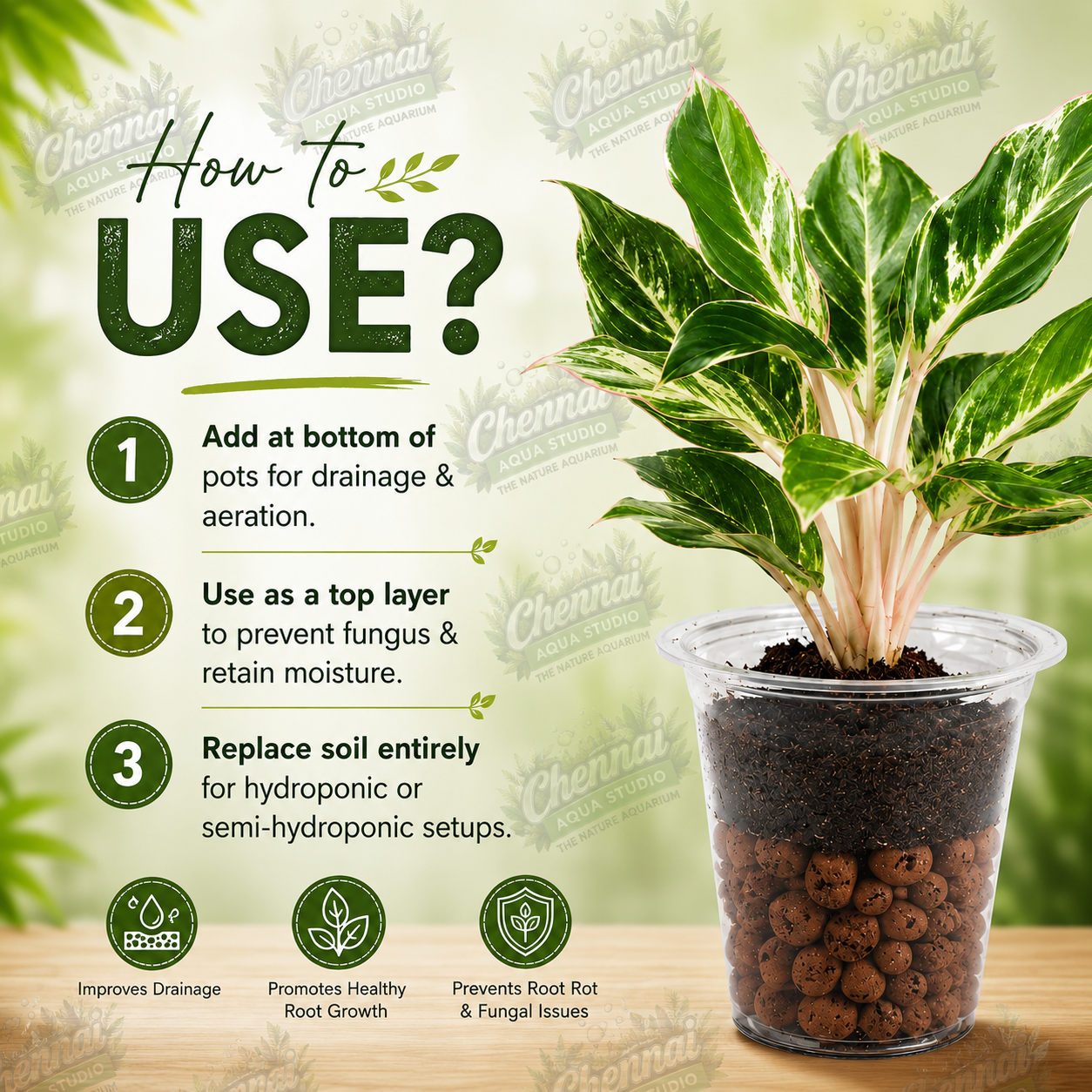 LECA Balls for Plants Clay Balls for Plants, Hydroponics and Soilless Gardening-Improves Plant Growth, Aeration, and Drainage 300GM