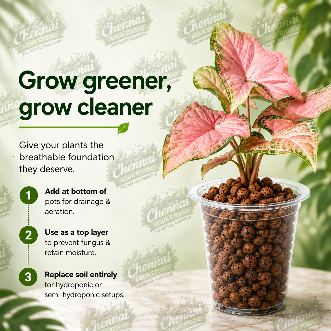 LECA Balls for Plants Clay Balls for Plants, Hydroponics and Soilless Gardening-Improves Plant Growth, Aeration, and Drainage 300GM
