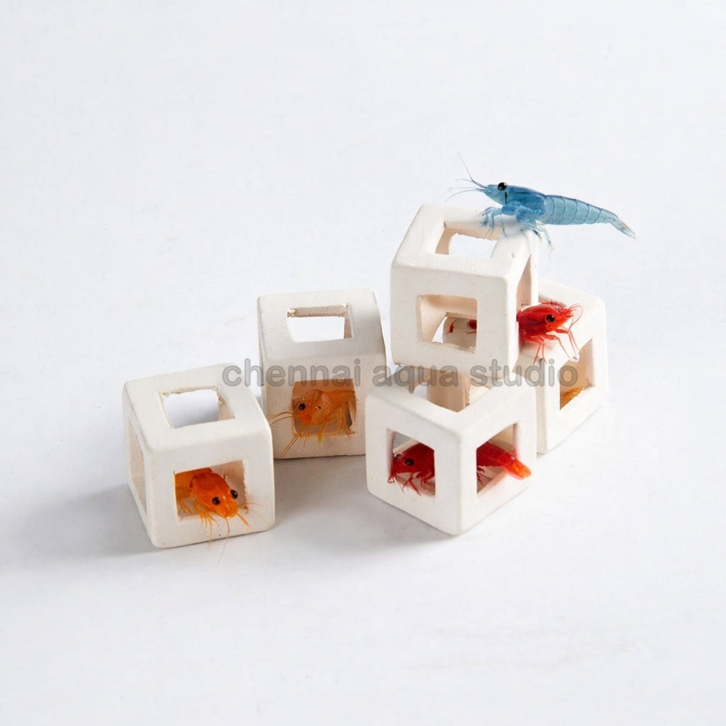CubeOne Shrimp Mini Cubes White – 5 Pack Ceramic Shrimp Hideout for Aquarium Breeding & Shelter (2cm)