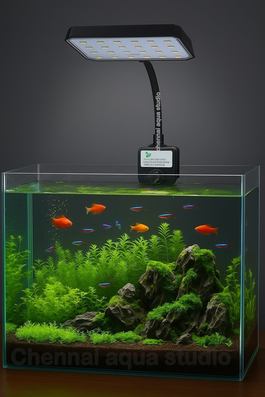 RS S8-8W Aquarium Clip-On LED Light | Flat Nano Full Spectrum Lamp for Vivid Fish & Plant Colors | Fits up to 12mm Glass | Ideal for 1.5 ft Tank