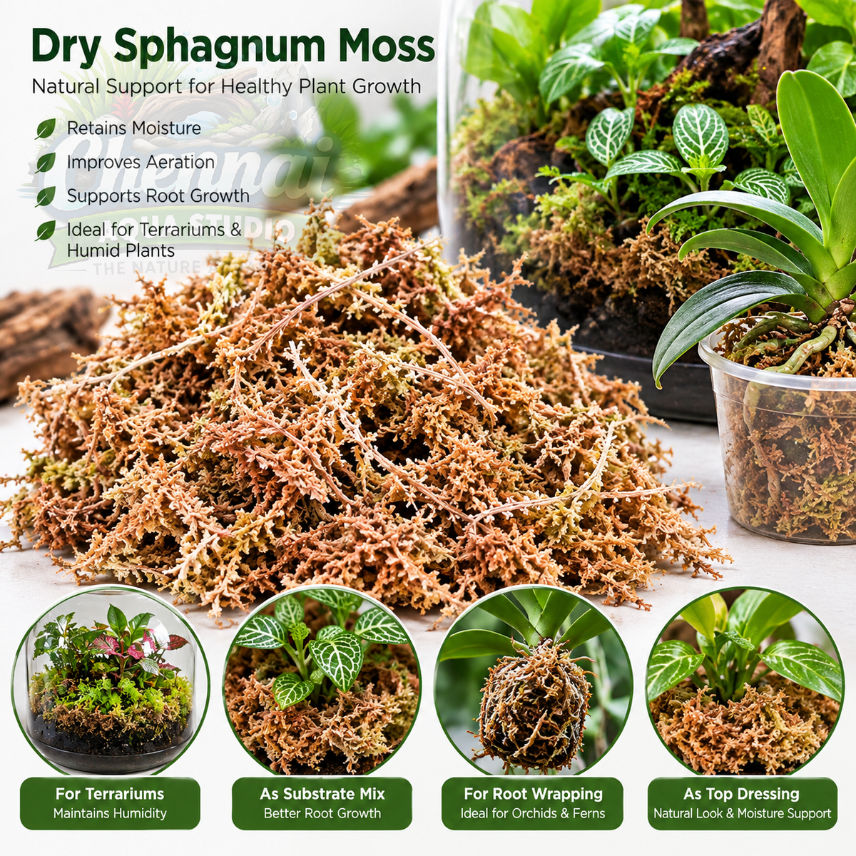 Sphagnum Moss Dried moss 1 KG