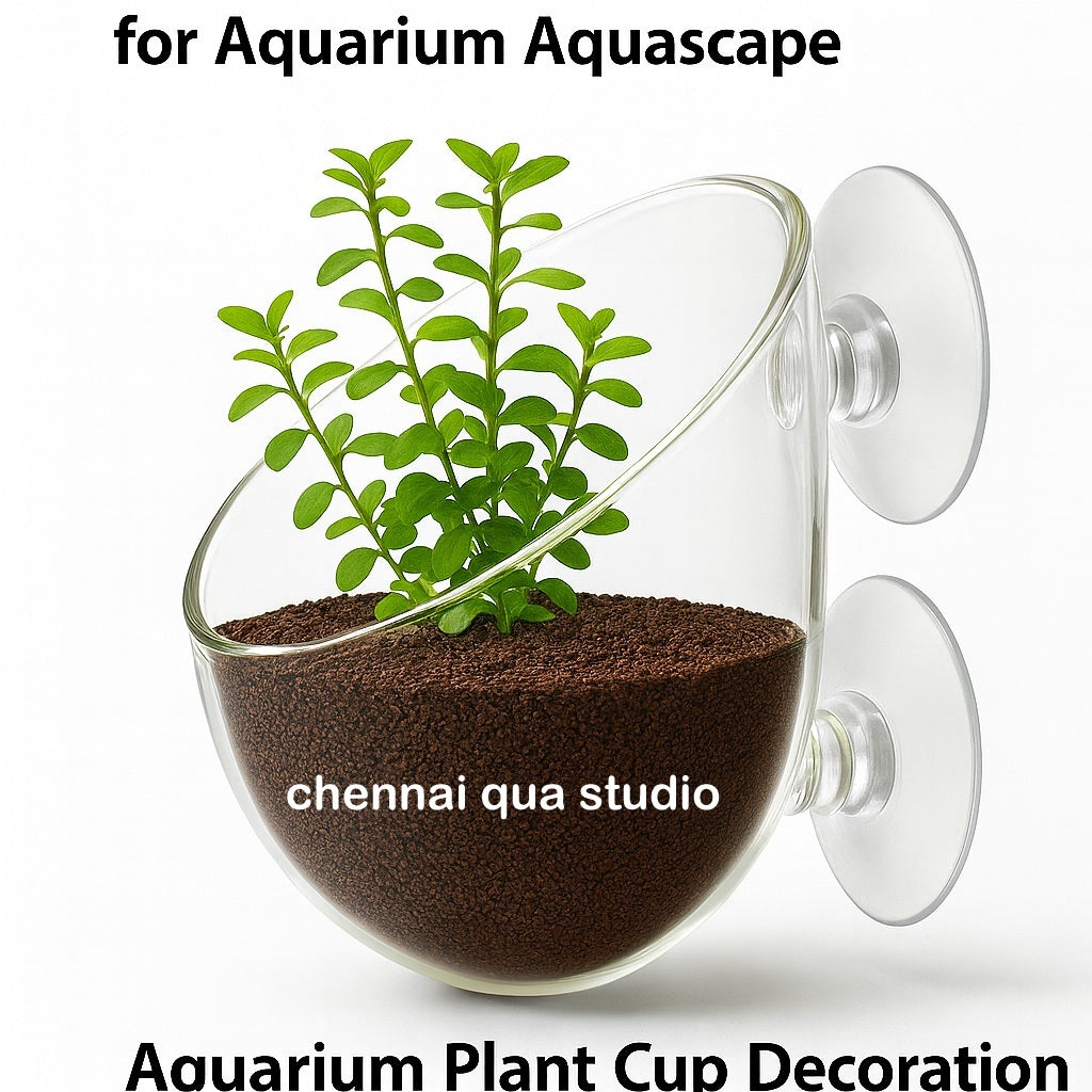 Glass pot with Suction Cups for Aquarium Aquascape Aquarium Plant Cup Decoration Glass Aquatic Plant Pot (Soil free)