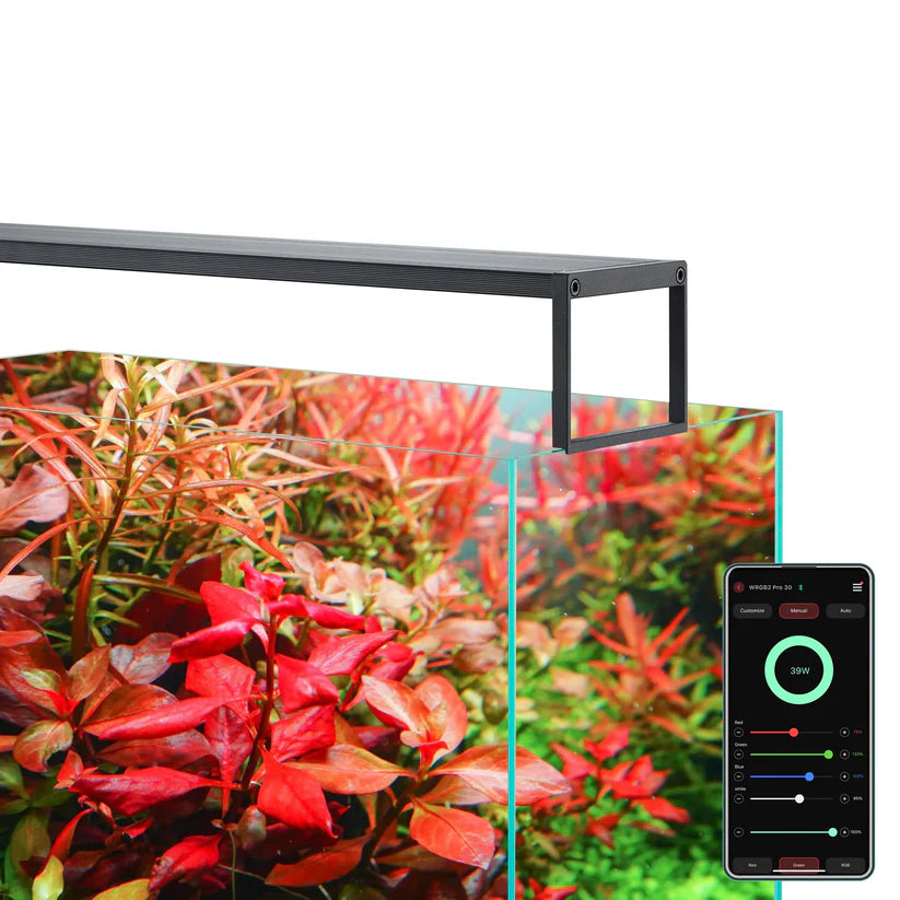 CHIHIROS WRGB II Slim – Aquarium LED System
