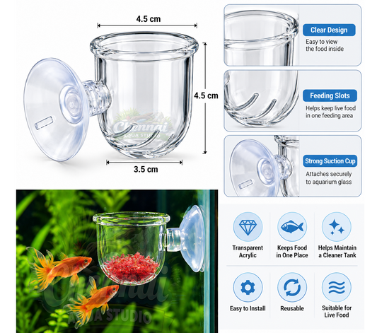 Transparent Acrylic Live Blood Worms Feeding Cone with Sucker for Aquarium Fish Tank