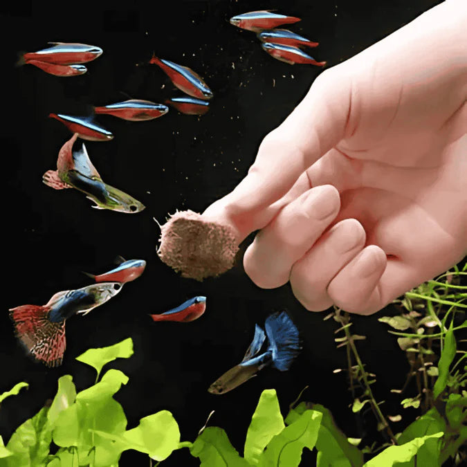 Hallofeed Freeze Dried Tubifex Worms
