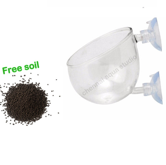 Glass pot with Suction Cups for Aquarium Aquascape Aquarium Plant Cup Decoration Glass Aquatic Plant Pot (Soil free)