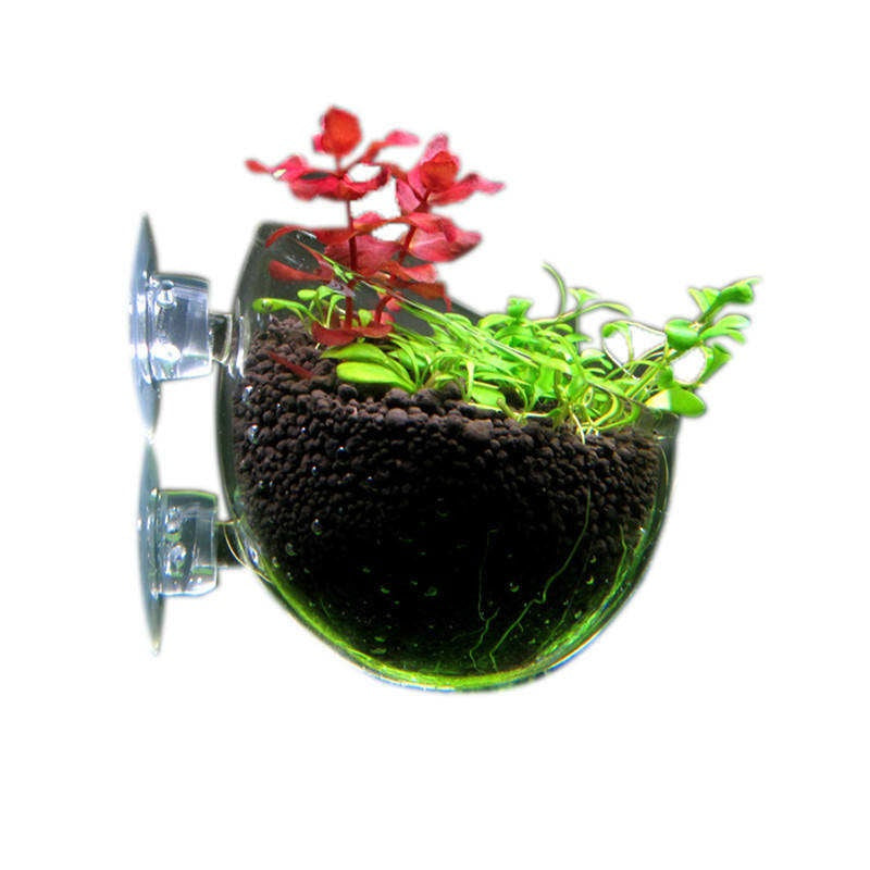 Glass pot with Suction Cups for Aquarium Aquascape Aquarium Plant Cup Decoration Glass Aquatic Plant Pot (Soil free)