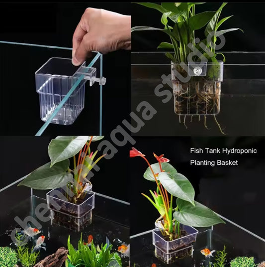 Mr traders Universal Acrylic Aquarium Plant Holder – Wall-Mounted Hydroponic Basket for Tanks (3mm–19mm Thickness)