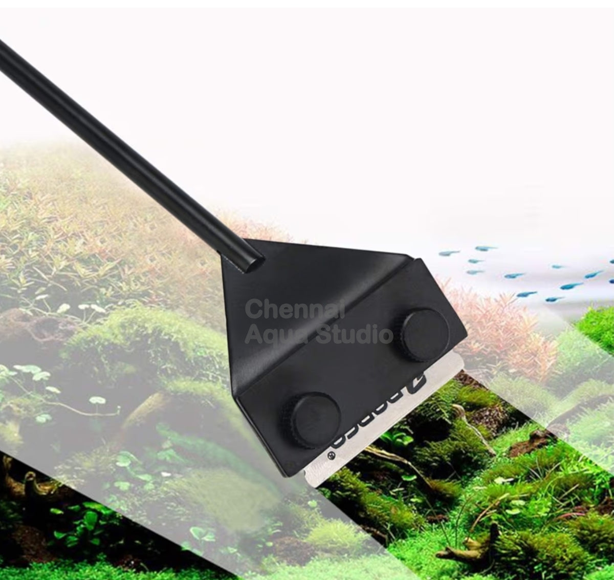 Rust Proof Scraper Aquarium Algae Scraper – Long Handle with Anti-Slip Grip & Replaceable ...