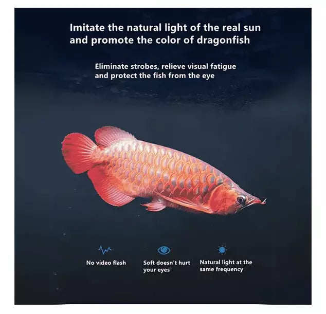 Neo Helios Solar Color Boost Light St 850
