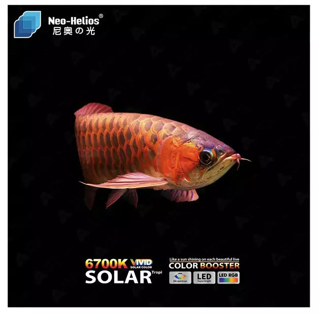 Neo Helios Solar Color Boost Light St 850