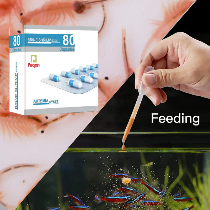 Peqon Artemia Capsules (brine shrimp eggs)