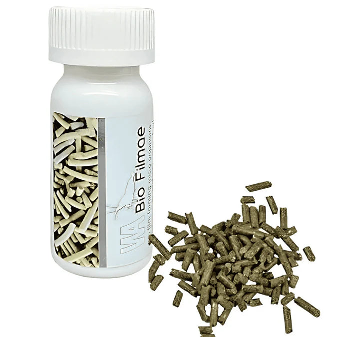 WA Bio Filmae Sticks 15gm Aquarium Shrimp Food